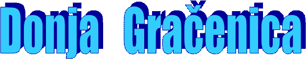 Donja   Graenica